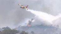 Incendie en Grèce : les flammes ont ravagé des villages au sud d'Athènes