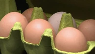 Supermarchés : des œufs non conformes dans les rayons ?