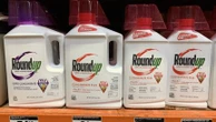 Monsanto : la Cour suprême américaine bloque la voie à des dizaines de milliers de plaintes contre Bayer
