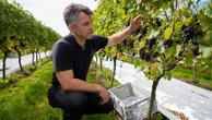 Un mousseux anglais détrône le champagne français comme meilleur vin du monde, on a rencontré son vigneron