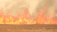 Incendies : Grèce, Bulgarie, Turquie... le sud-est de l'Europe fortement touché