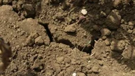 Loi d'urgence agricole : "L'irrigation, on l'envisage très sérieusement", confie un agriculteur, dont les cultures subissent de plein fouet la sécheresse