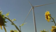 Parcs éoliens : des projets stoppés pour saturation visuelle