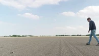 Nord : les agriculteurs font face à une sécheresse exceptionnelle
