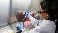 Quand l'hantavirus a-t-il été découvert et a-t-il déjà causé des épidémies ?