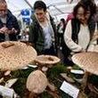 Le milliardaire Pierre-Edouard Stérin derrière le label "Les plus belles fêtes de France", des organisateurs d'événements festifs se désengagent