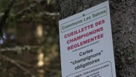 En Lozère, un maire fait payer l'accès aux bois de sa commune pour réguler l'afflux de visiteurs