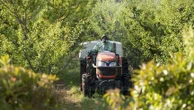 Que dit la science sur l'acétamipride et le flupyradifurone, les deux pesticides qui pourraient être réintroduits après l'adoption de la loi d'urgence agricole ?