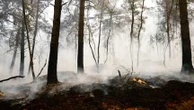 Incendies à Fontainebleau : Emmanuel Macron veut mobiliser les dons