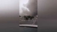 Incendie à Biscarrosse : des dizaines de chevaux libérés en urgence