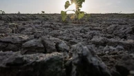 La facture climatique liée à la sécheresse pèse de plus en plus lourd sur les assurances