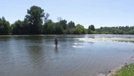 Canicule : à cause de la chaleur, la présence de cyanobactéries rend la baignade impossible dans certains plans d’eau
