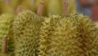 Sucré ou salé, le durian et son odeur prononcée remportent toujours plus de succès en Thaïlande