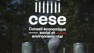 Cese : à quoi sert le Conseil économique, social et environnemental, dans le viseur d'un rapport parlementaire ?