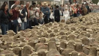 "C'est notre patrimoine, notre tradition" : au temps de la transhumance, la Provence vit au rythme des troupeaux