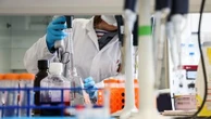 Trois cas de cancers du foie sur cinq sont évitables avec une réduction des facteurs de risque, selon une étude