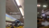"L’avion était envahi, il y en avait partout" : des moustiques bloquent deux vols Ryanair en Italie