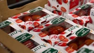 Tomates : comment la concurrence marocaine s’impose dans le marché européen et à quel prix ?