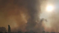 Incendies : plus de 10 000 hectares sont partis en fumée à Chypre