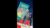 Ces jeux de société qui appartiennent à Bolloré