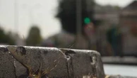 Marseille : un policier grièvement blessé lors d'un refus d'obtempérer