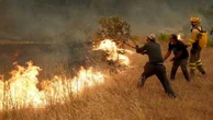 En Espagne, les incendies dans les régions de Madrid et d'Avila ont ravagé jusqu'à 25 000 hectares