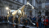 Zeus, le cheval métallique de la cérémonie d'ouverture des JO, va être exposé tout l'été au Mont Saint-Michel