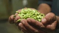 Inde : sur la route des épices pour un voyage aux mille saveurs