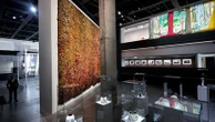 Fondation Cartier pour l'art contemporain : l'institution ouvre dans un bâtiment plus vaste, "une obligation vis-à-vis du public qui veut voir en masse les expositions", selon son directeur général