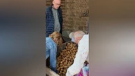 Des producteurs obligés de donner leurs pommes de terre