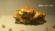 "Ça ne peut être fait que par une équipe de professionnels" : le vol de six pépites d'or d'une valeur de 600 000 euros au Muséum d'Histoire naturelle de Paris interroge