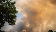 Fontainebleau, Pyrénées-Orientales, Drôme... Depuis le début de l'été, des incendies ravagent les quatre coins de la France
