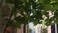 Pic de chaleur : à Nîmes, les habitants cherchent la fraîcheur sous 36 degrés