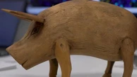 Greffe d’organes : et si la solution pour la transplantation était dans le cochon ?