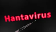 Pourquoi autant parler du hantavirus si le risque est faible ?