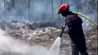 Incendies dans le Sud : les pompiers, sur le qui-vive, luttent contre les nouveaux départs de feu