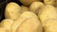 Pommes de terre : pourquoi pourrait-on bientôt les payer moins cher ?