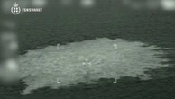 Eurozapping : la Pologne libère le suspect du sabotage des gazoducs Nord Stream