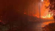 Incendies au Portugal : des évacuations face aux flammes, le pays toujours en alerte incendie