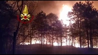 Enorme incendio al parco delle Groane, brucia il bosco: "Situazione aggravata dalla mancanza di pioggia"