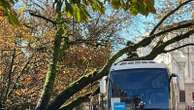 Albero cade su pullman turistico parcheggiato. Rami sulle auto e allagamenti: ancora danni per il maltempo