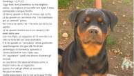 Cacciatore spara a un rottweiler, indagato: “Mi sono difeso”. Ma la padrona di Uma denuncia: “Uccisa a sangue freddo davanti a mio figlio 13enne”