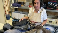Emergenza freddo, appello di Opera Cardinal Ferrari: servono 250 giubbotti e 250 paia di scarponi