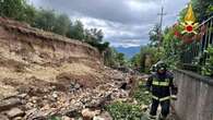 Gli esperti: “La caduta alberi in città causata anche da effetto canyon”. 