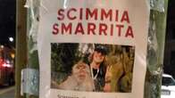 Scimme, renne e cammelli smarriti: risolto il mistero degli strani cartelli comparsi per strada a Milano e in altre città