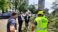 Alberi caduti a Milano per la tempesta, Sala: “Tantissimi danni, ci vorrà tempo per portarli via e piantarne di nuovi”