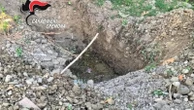 Spara ai suoi cani perché abbaiano troppo, poi li seppellisce in cortile: denunciato a Cremona