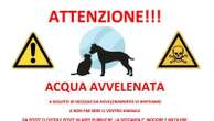 Pumenengo, caccia all’avvelenatore di ciotole dopo la morte di un gatto. Il sindaco: 