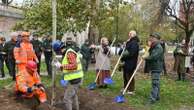 Giornata nazionale dell'albero, Milano festeggia piantandone 4.776 dopo il nubifragio del 2023