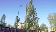 Allerta gialla per forte vento a Milano e in Lombardia: rischio di raffiche fino a 90 km/h per il